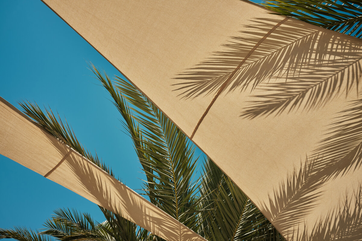 27b2ae08bb8c7c7e41b6be151eab628460f8a256