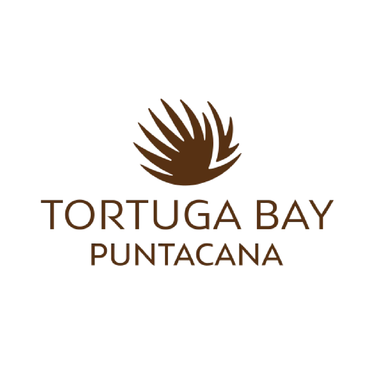 Tortuga Bay